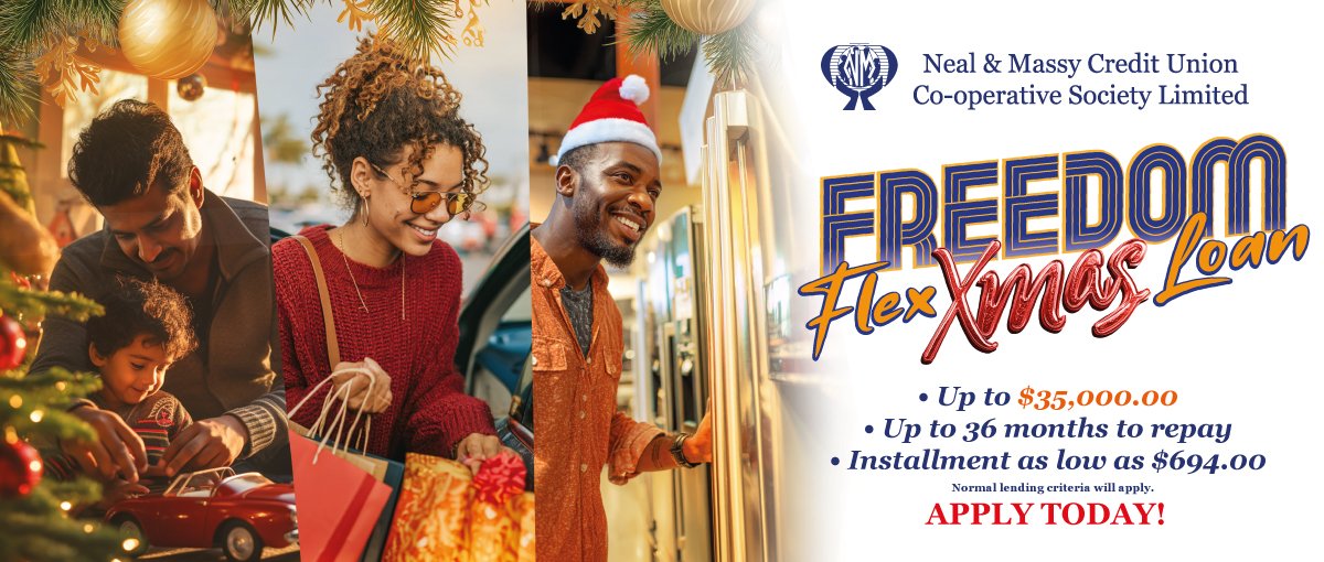 Christmas Freedom Flex Loan Website banner